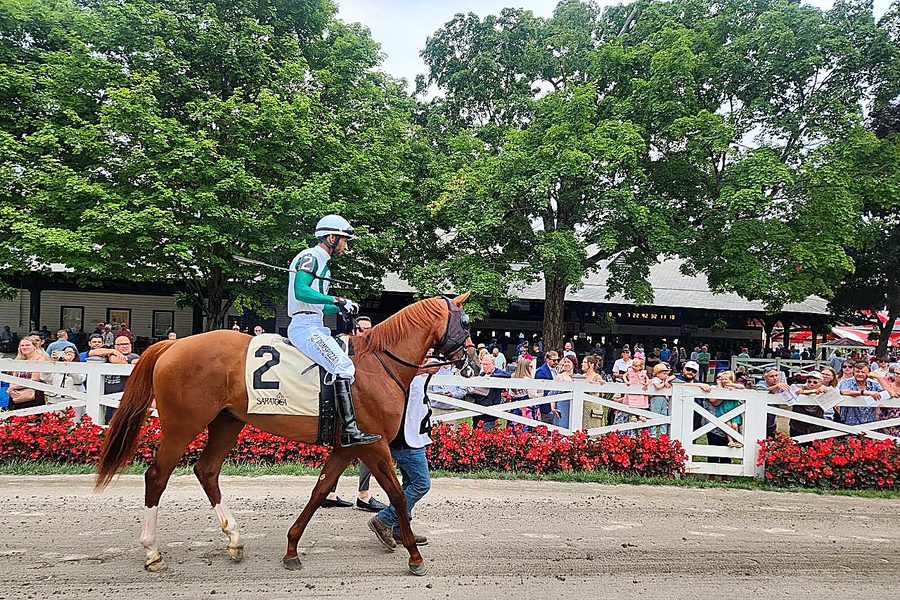 Kipros at Saratoga